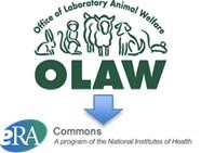 Title: OLAW logo pointing to eRA Commons logo