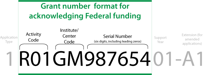 The proper grant number format for acknowledging NIH funding is: R01GM987654. (activity code, institute/center code, and six digit serial number including leading zeros)