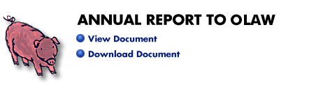 [Annual Report]
