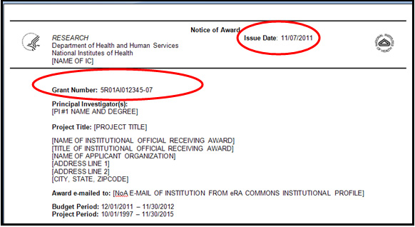 Example 1:  Award with “initial Issue Date”—no reference to “REVISED” is shown as part of the Grant Number Field
