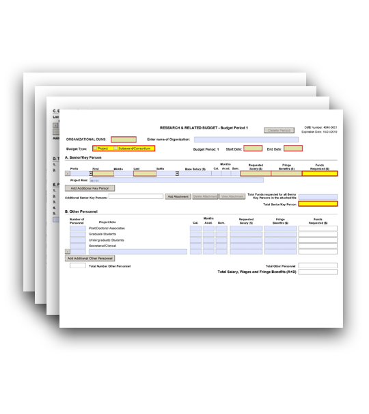 (R&R) Budget Period 1 and Cumulative Budget Forms 