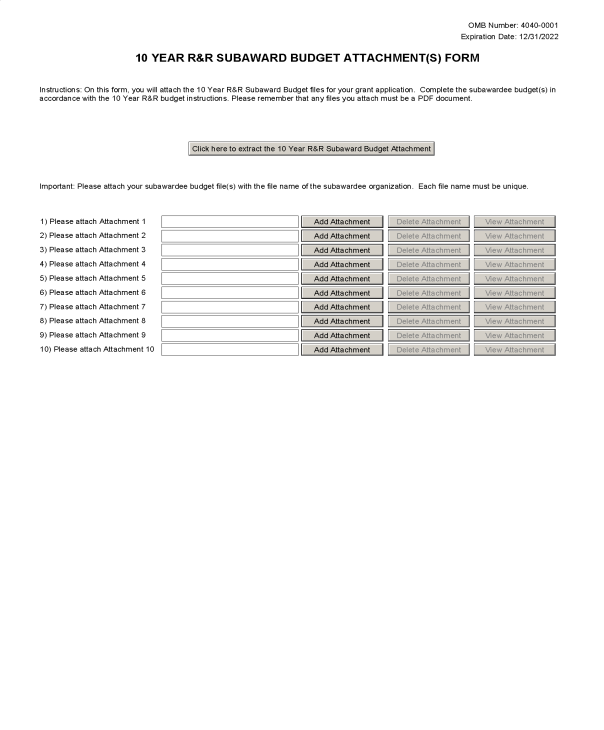R&R Subaward Budget Attachment(s) Form