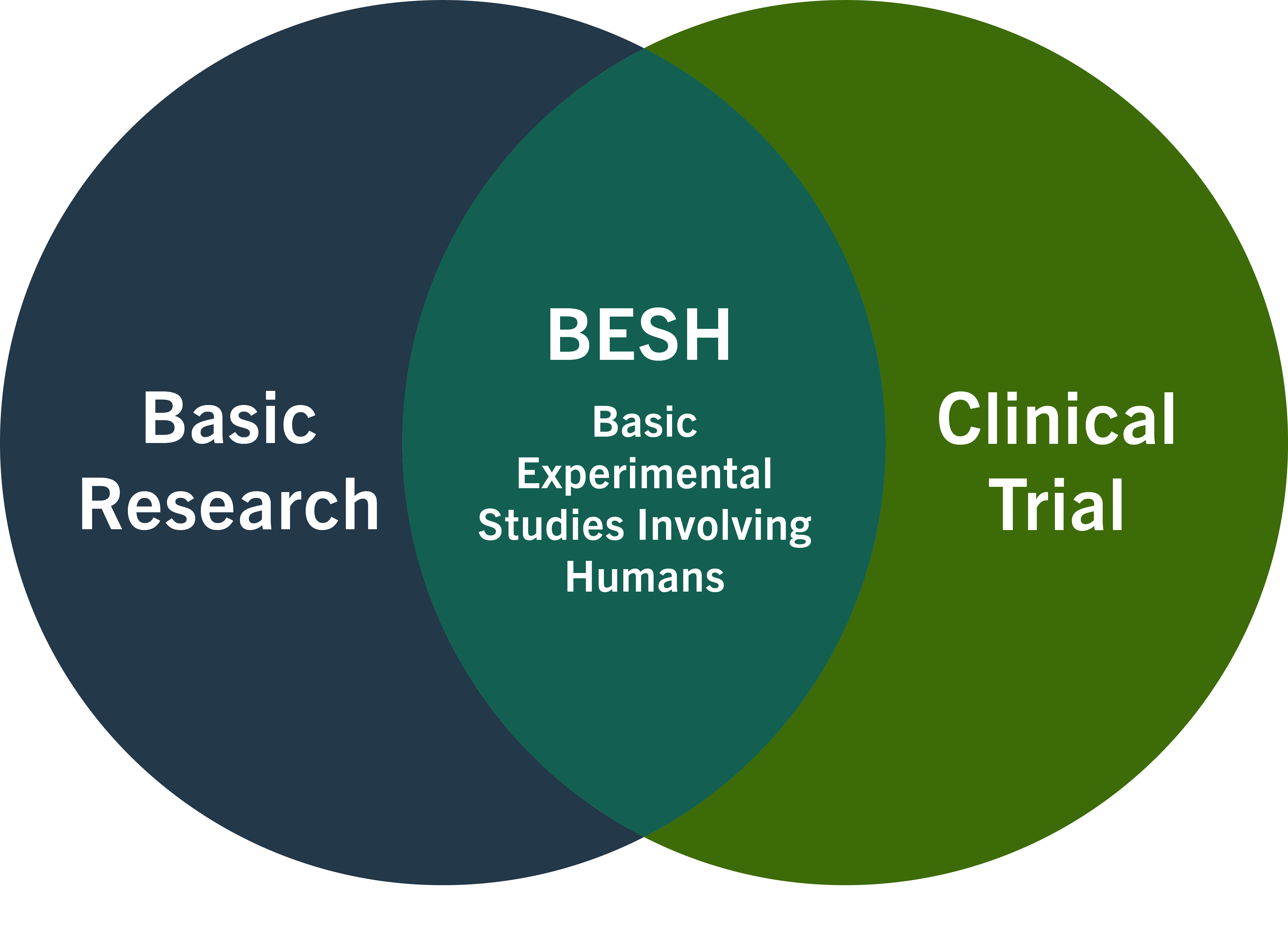 Venn Diagram showing Basic Research and Clinical Trials met with BESH at the overlap
