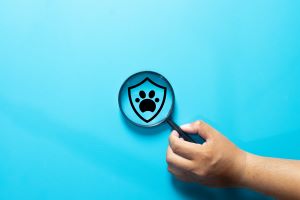 Hand holding a magnifying glass over a shield icon with a paw print, representing animal protection or oversight.