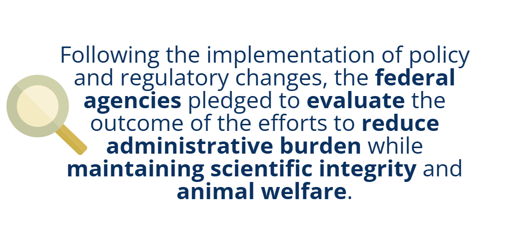 An informational graphic with a magnifying glass icon stating that following policy and regulatory changes, federal agencies pledged to evaluate the outcome of efforts to reduce administrative burden while maintaining scientific integrity and animal welfare.