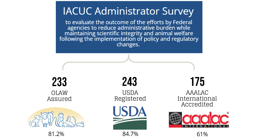 An infographic titled 'IACUC Administrator Survey,' describing its purpose as evaluating the outcome of federal agencies' efforts to reduce administrative burden while maintaining scientific integrity and animal welfare following policy and regulatory changes. Below, three statistics show survey respondent institution types: 233 OLAW Assured institutions (81.2%), represented by an illustration of laboratory animals; 243 USDA Registered institutions (84.7%), shown with the USDA logo; and 175 AAALAC International Accredited institutions (61%), shown with the AAALAC International logo.